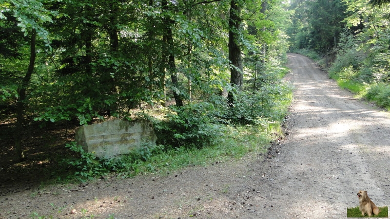 Ritterstein Nr. 288-4 Hier stand das Dorf Zwingweiler - Zwingerstein - Waldgericht.JPG - Ritterstein Nr.288 Hier stand das Dorf Zwingweiler - Zwingerstein - Waldgericht